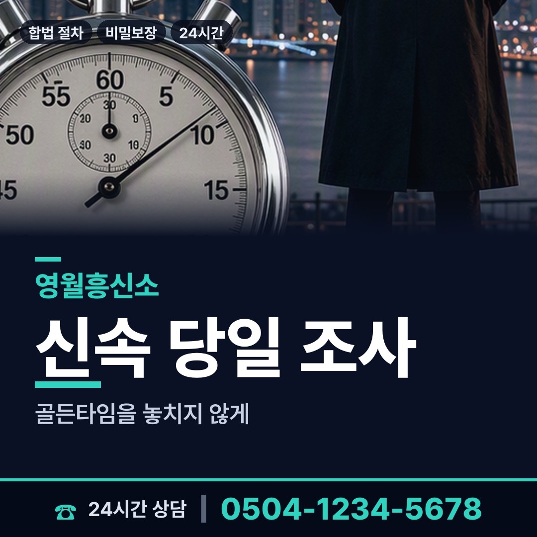 영월 남면 전세사기조사 상담 안내